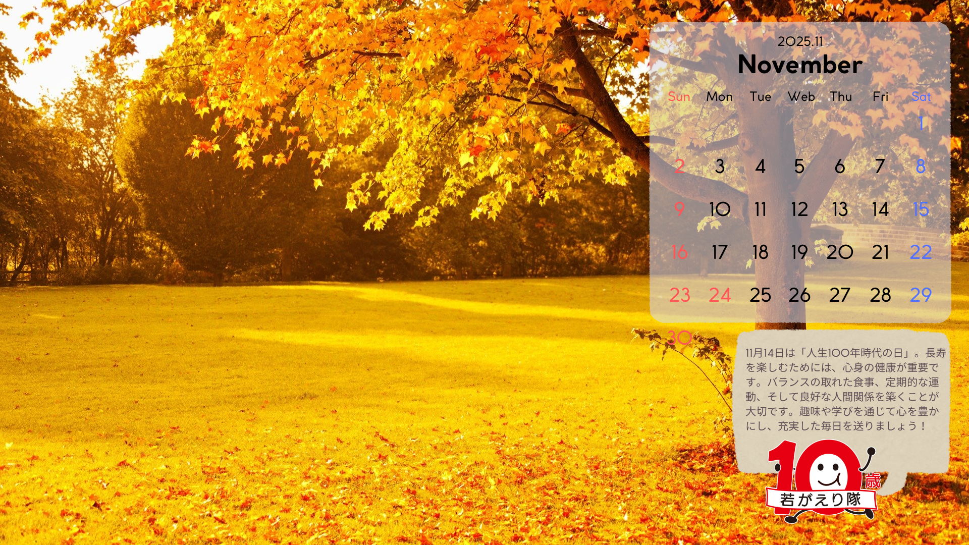 u10΂񁙌NJ_[v2025N11