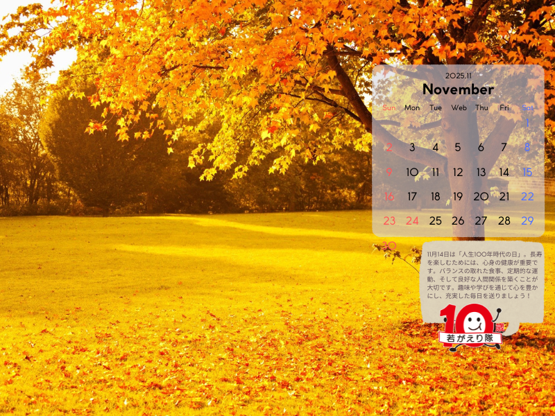 u10΂񁙌NJ_[v2025N11