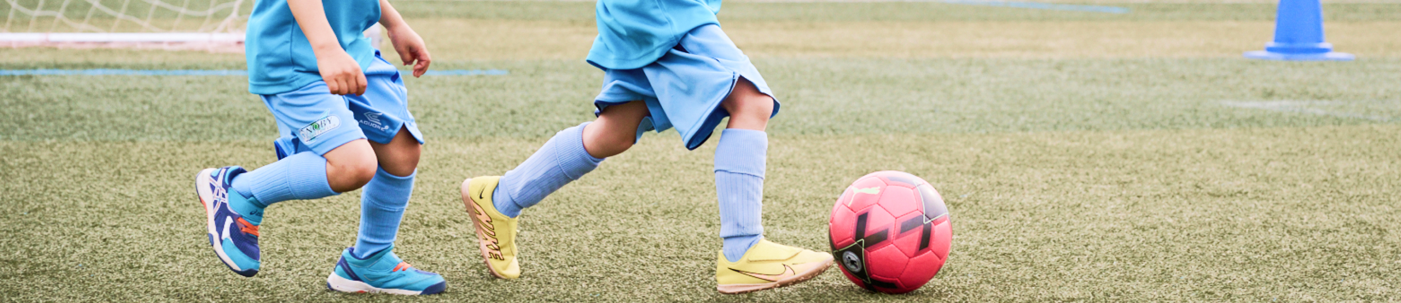 �R�[�`�Љ��mv